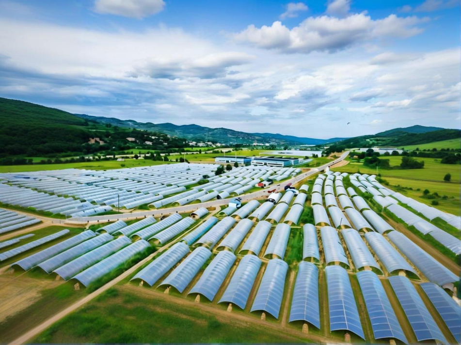 農藥殘留檢測儀走進蔬菜基地,萊恩德檢測儀助力壽光市蔬菜安全